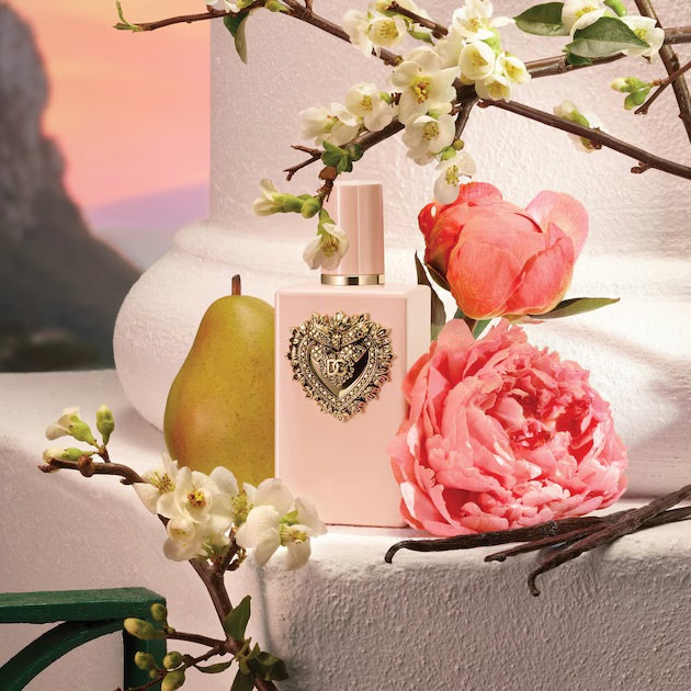 Dolce & gabana – Image 7